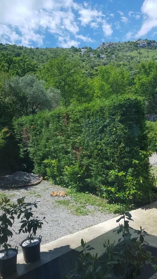 Rooms Lake View Balani Restaurant Shkodër 외부 사진